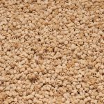 Pasta senatore cappelli letterine