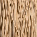 Spaghettoni pasta senatore cappelli